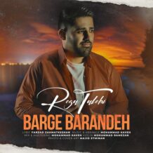 آهنگ جدید رضا طالبی به نام برگ برنده